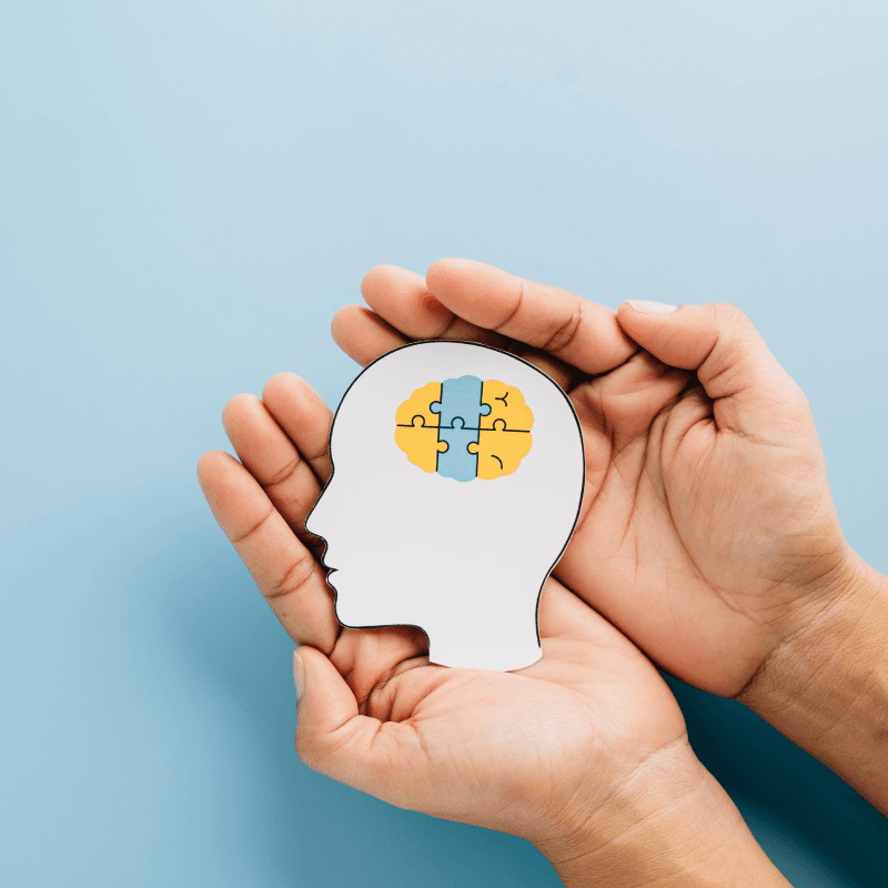 A pait of halds, holding a cut out of a head with the brain illustrated as a jigsaw puzzle
